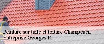 Peinture sur tuile et toiture  champcueil-91750 Entreprise Georges R