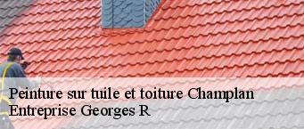 Peinture sur tuile et toiture  champlan-91160 Entreprise Georges R