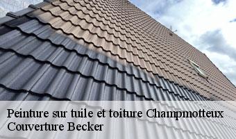 Peinture sur tuile et toiture  champmotteux-91150 Couverture Becker