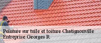 Peinture sur tuile et toiture  chatignonville-91410 Entreprise Georges R