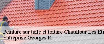 Peinture sur tuile et toiture  chauffour-les-etrechy-91580 Entreprise Georges R