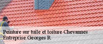 Peinture sur tuile et toiture  chevannes-91750 Entreprise Georges R