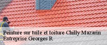 Peinture sur tuile et toiture  chilly-mazarin-91380 Entreprise Georges R