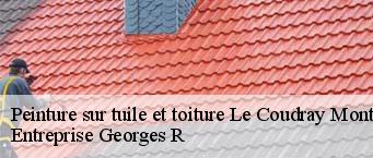 Peinture sur tuile et toiture  le-coudray-montceaux-91830 Entreprise Georges R