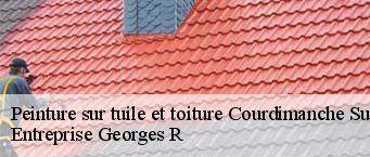 Peinture sur tuile et toiture  courdimanche-sur-essonne-91720 Entreprise Georges R