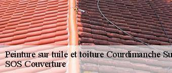 Peinture sur tuile et toiture  courdimanche-sur-essonne-91720 SOS Couverture