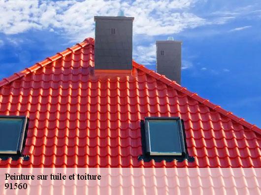 Peinture sur tuile et toiture 91560