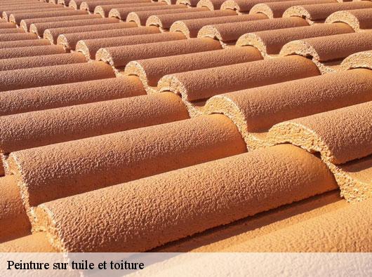 Peinture sur tuile et toiture