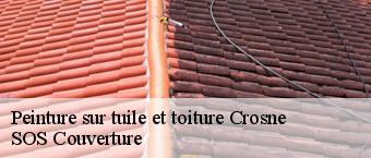 Peinture sur tuile et toiture crosne-91560 SOS Couverture