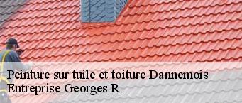 Peinture sur tuile et toiture  dannemois-91490 Entreprise Georges R