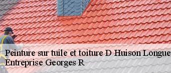 Peinture sur tuile et toiture  d-huison-longueville-91590 Entreprise Georges R