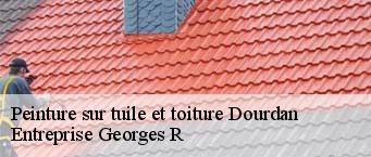 Peinture sur tuile et toiture  dourdan-91410 Entreprise Georges R