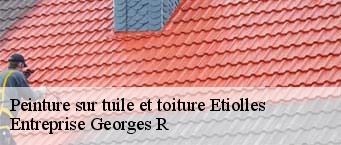 Peinture sur tuile et toiture  etiolles-91450 Entreprise Georges R