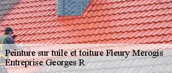 Peinture sur tuile et toiture  fleury-merogis-91700 Entreprise Georges R