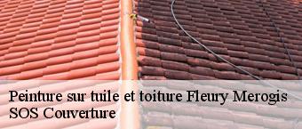 Peinture sur tuile et toiture fleury-merogis-91700 SOS Couverture