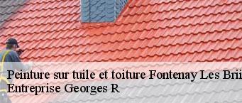 Peinture sur tuile et toiture  fontenay-les-briis-91640 Entreprise Georges R