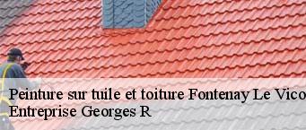 Peinture sur tuile et toiture  fontenay-le-vicomte-91540 Entreprise Georges R