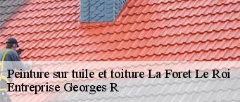 Peinture sur tuile et toiture  la-foret-le-roi-91410 Entreprise Georges R