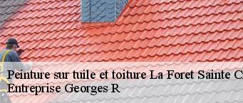 Peinture sur tuile et toiture  la-foret-sainte-croix-91150 Entreprise Georges R
