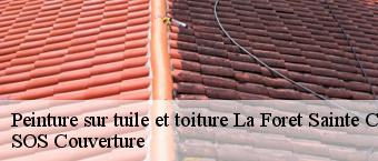 Peinture sur tuile et toiture la-foret-sainte-croix-91150 SOS Couverture