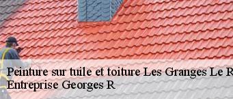 Peinture sur tuile et toiture  les-granges-le-roi-91410 Entreprise Georges R