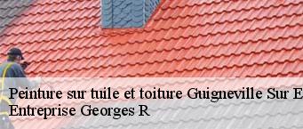 Peinture sur tuile et toiture  guigneville-sur-essonne-91590 Entreprise Georges R