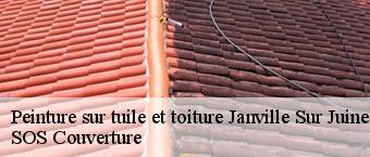 Peinture sur tuile et toiture janville-sur-juine-91510 SOS Couverture