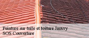 Peinture sur tuile et toiture  janvry-91640 Entreprise Georges R