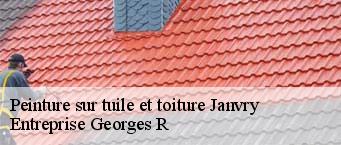Peinture sur tuile et toiture  janvry-91640 Essonne Couverture