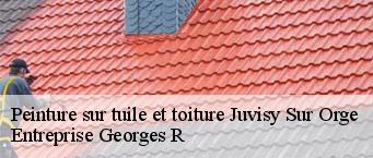 Peinture sur tuile et toiture  juvisy-sur-orge-91260 Entreprise Georges R