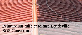 Peinture sur tuile et toiture  leudeville-91630 Entreprise Georges R