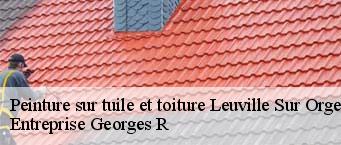 Peinture sur tuile et toiture  leuville-sur-orge-91310 Entreprise Georges R