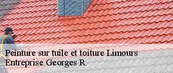 Peinture sur tuile et toiture  limours-91470 Entreprise Georges R