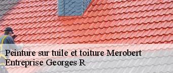 Peinture sur tuile et toiture  merobert-91780 Entreprise Georges R