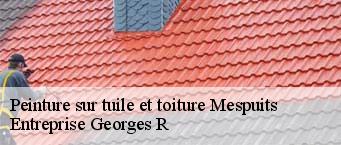 Peinture sur tuile et toiture  mespuits-91150 Entreprise Georges R