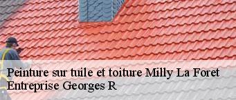 Peinture sur tuile et toiture  milly-la-foret-91490 Entreprise Georges R