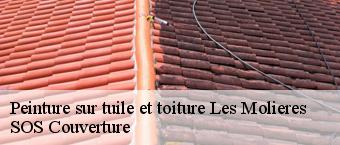 Peinture sur tuile et toiture les-molieres-91470 SOS Couverture