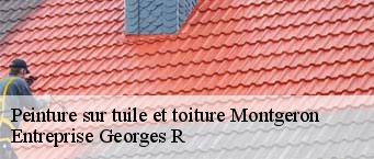 Peinture sur tuile et toiture  montgeron-91230 Entreprise Georges R
