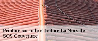 Peinture sur tuile et toiture la-norville-91290 SOS Couverture