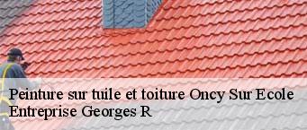 Peinture sur tuile et toiture  oncy-sur-ecole-91490 Entreprise Georges R