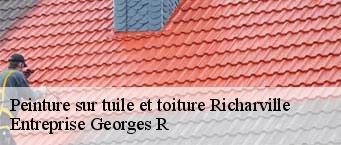 Peinture sur tuile et toiture  richarville-91410 Entreprise Georges R