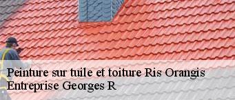 Peinture sur tuile et toiture  ris-orangis-91130 Entreprise Georges R