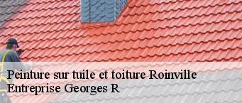 Peinture sur tuile et toiture  roinville-91410 Entreprise Georges R