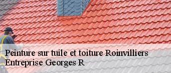 Peinture sur tuile et toiture  roinvilliers-91150 Entreprise Georges R