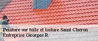 Peinture sur tuile et toiture  saint-cheron-91530 Entreprise Georges R