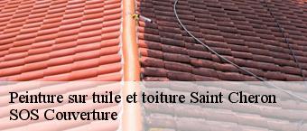 Peinture sur tuile et toiture saint-cheron-91530 SOS Couverture
