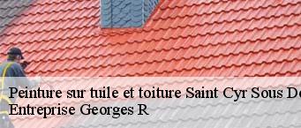 Peinture sur tuile et toiture  saint-cyr-sous-dourdan-91410 Entreprise Georges R