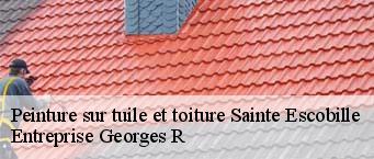 Peinture sur tuile et toiture  sainte-escobille-91410 Entreprise Georges R