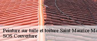 Peinture sur tuile et toiture  saint-maurice-montcouronne-91530 SOS Couverture