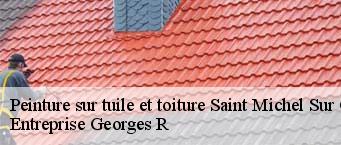 Peinture sur tuile et toiture  saint-michel-sur-orge-91240 Entreprise Georges R